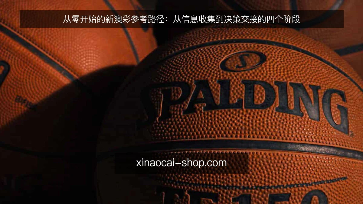 从零开始的新澳彩参考路径：从信息收集到决策交接的四个阶段